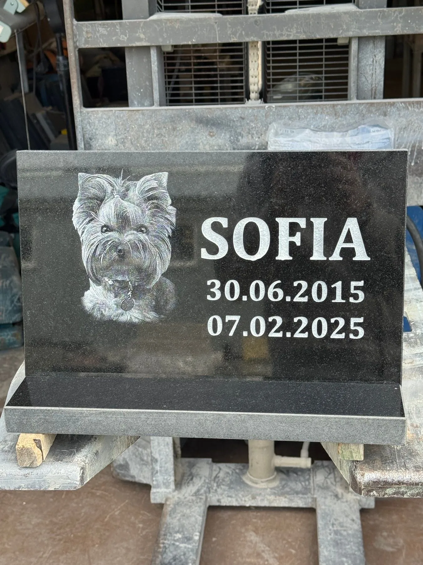 Lemmikloomade hauakivid