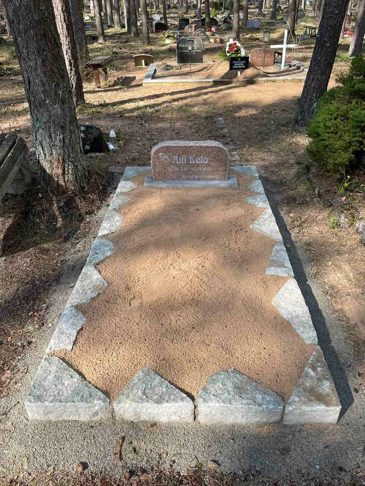 Standardsed hauapiirded