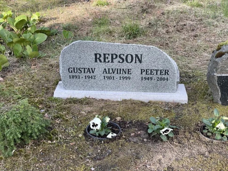 Standardsed hauakivid