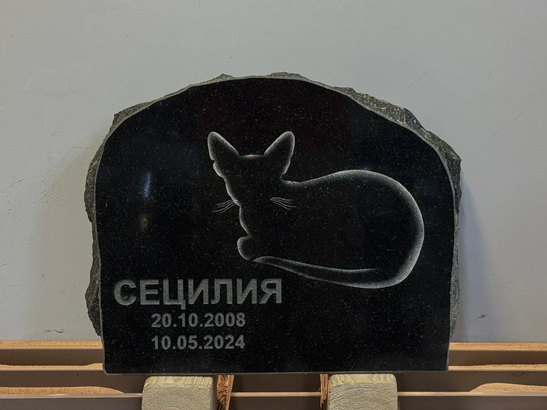 Lemmikloomade hauakivid