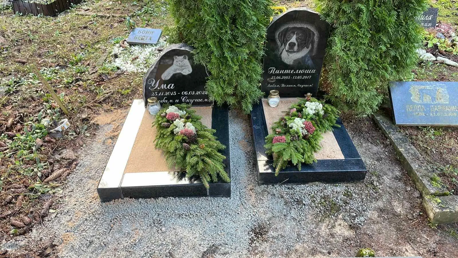 Lemmikloomade hauakivid