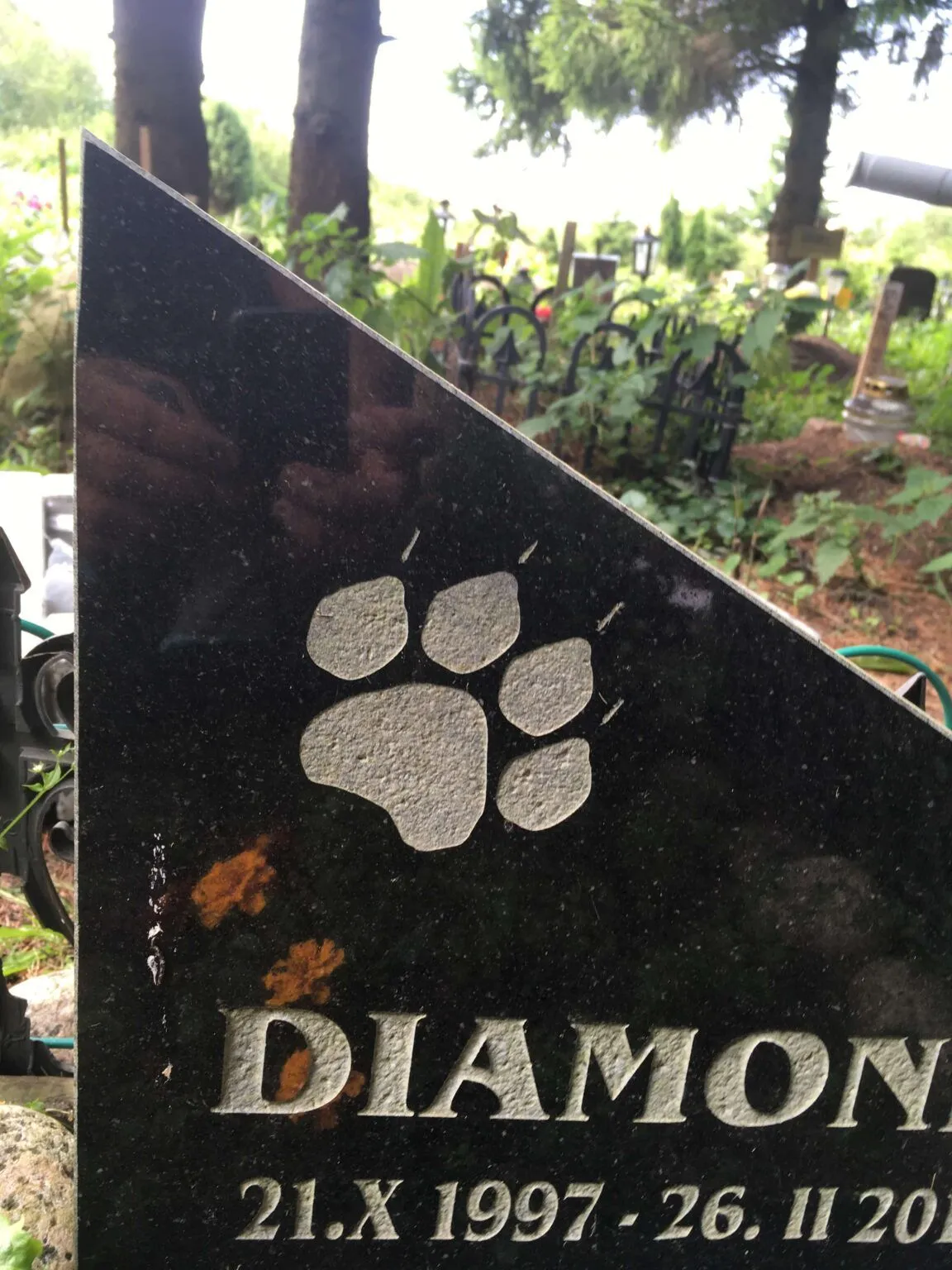 Lemmikloomade hauakivid