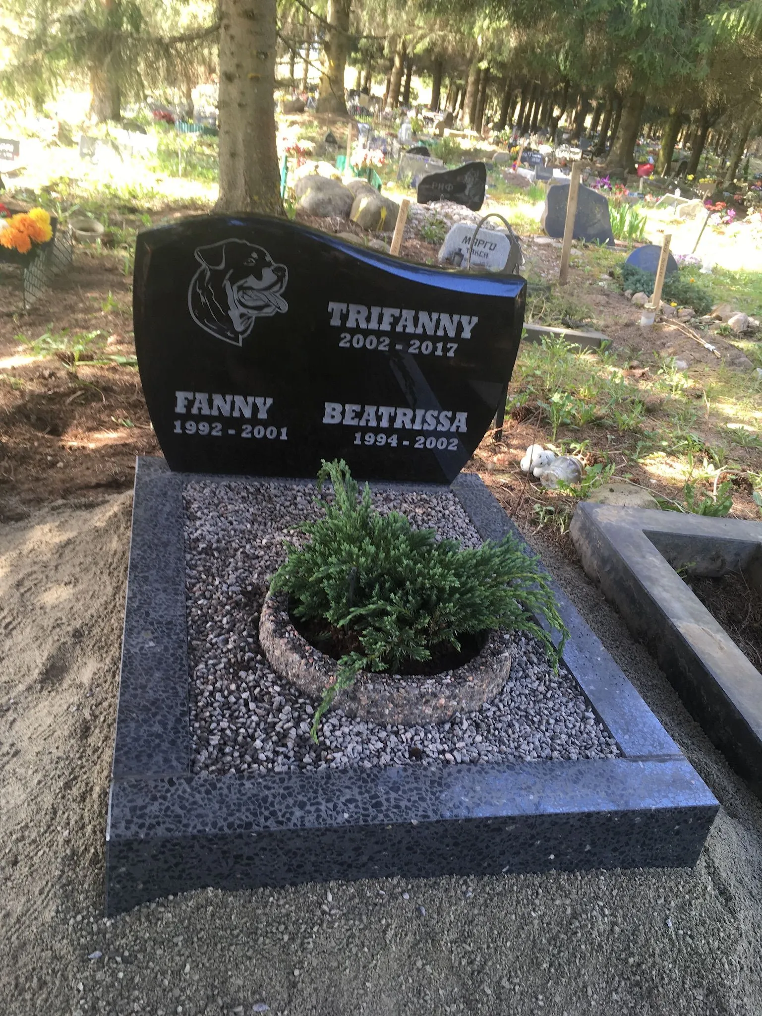 Lemmikloomade hauakivid