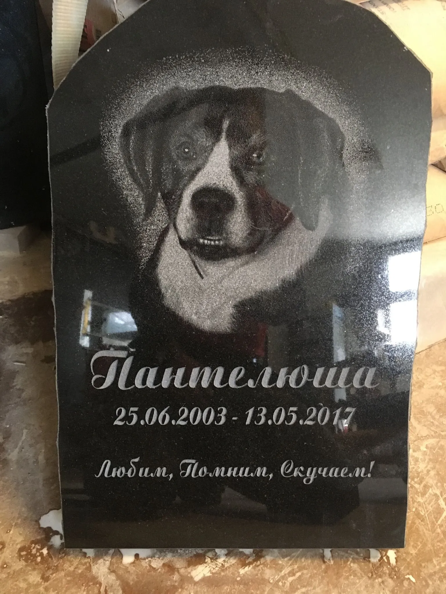 Lemmikloomade hauakivid