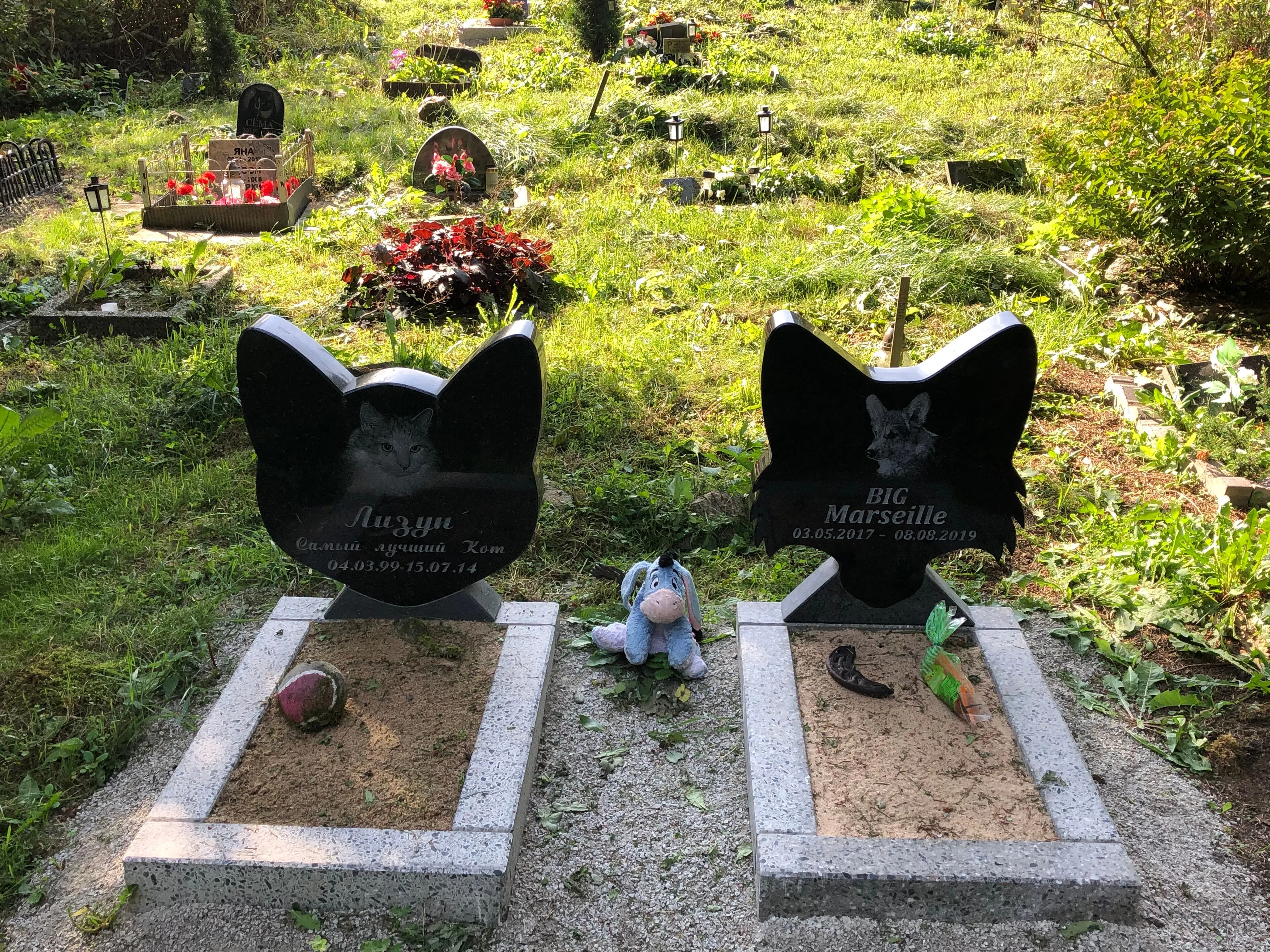 Lemmikloomade hauakivid