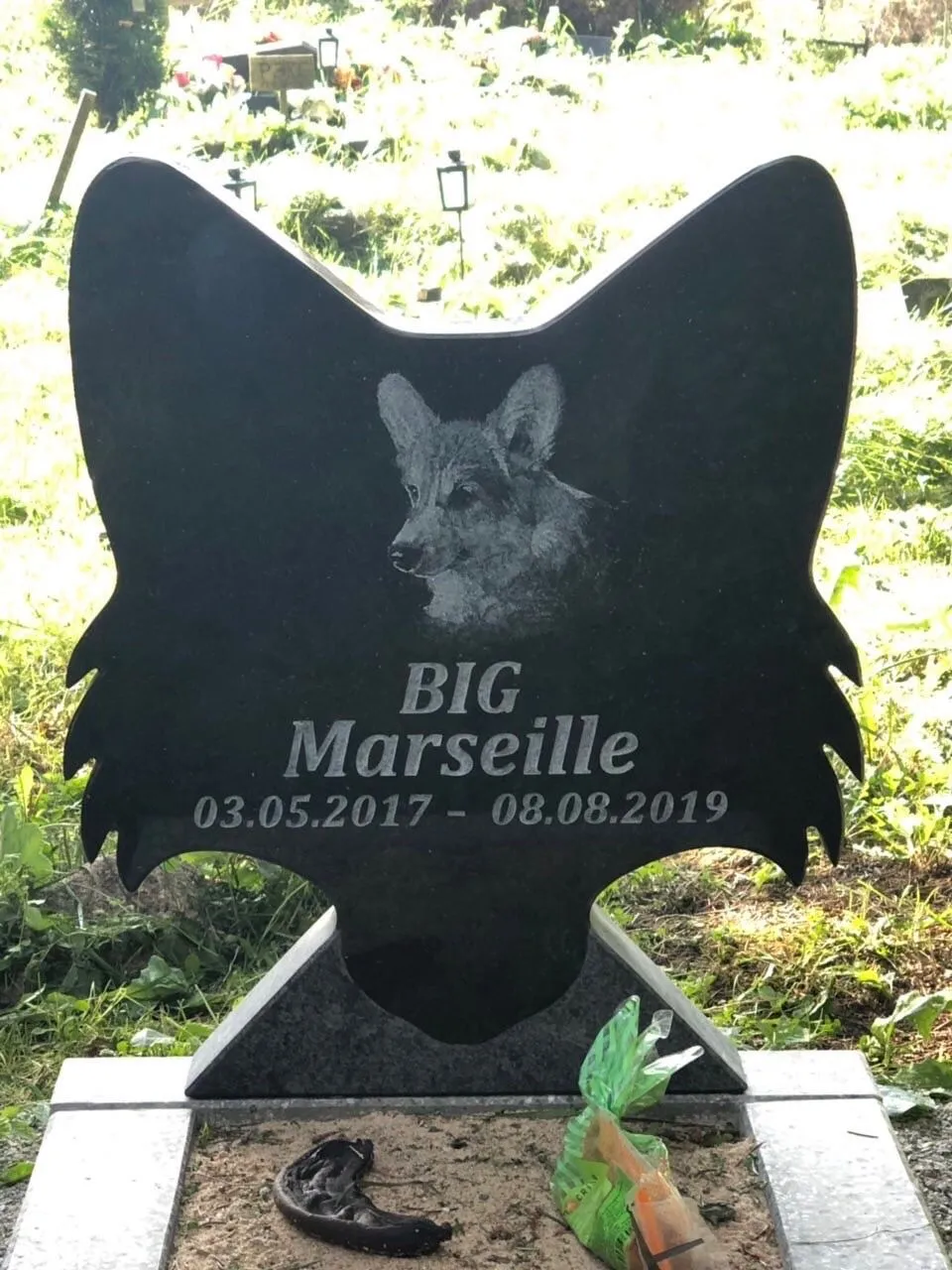 Lemmikloomade hauakivid