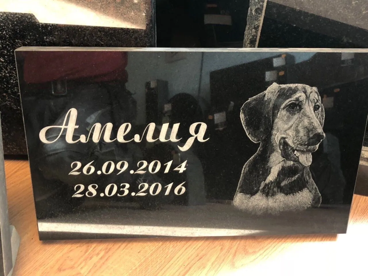 Lemmikloomade hauakivid